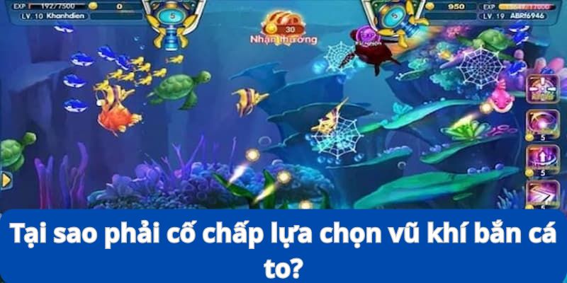 Lựa Chọn Vũ Khí Bắn Cá To - Kinh Nghiệm Đi Săn Siêu Đỉnh 7 Bạn có nên cố chấp để săn cho bằng được chú cá to hay không?
