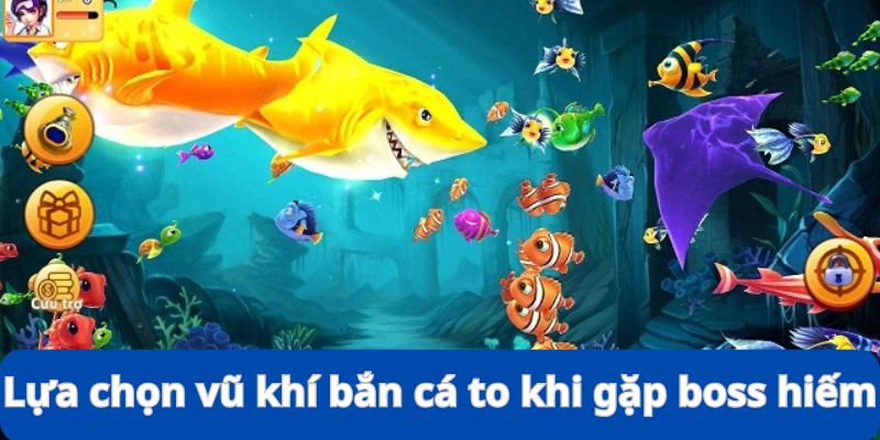 Lựa Chọn Vũ Khí Bắn Cá To - Kinh Nghiệm Đi Săn Siêu Đỉnh 8 Lựa chọn vũ khí bắn cá to khi gặp mục tiêu hiếm